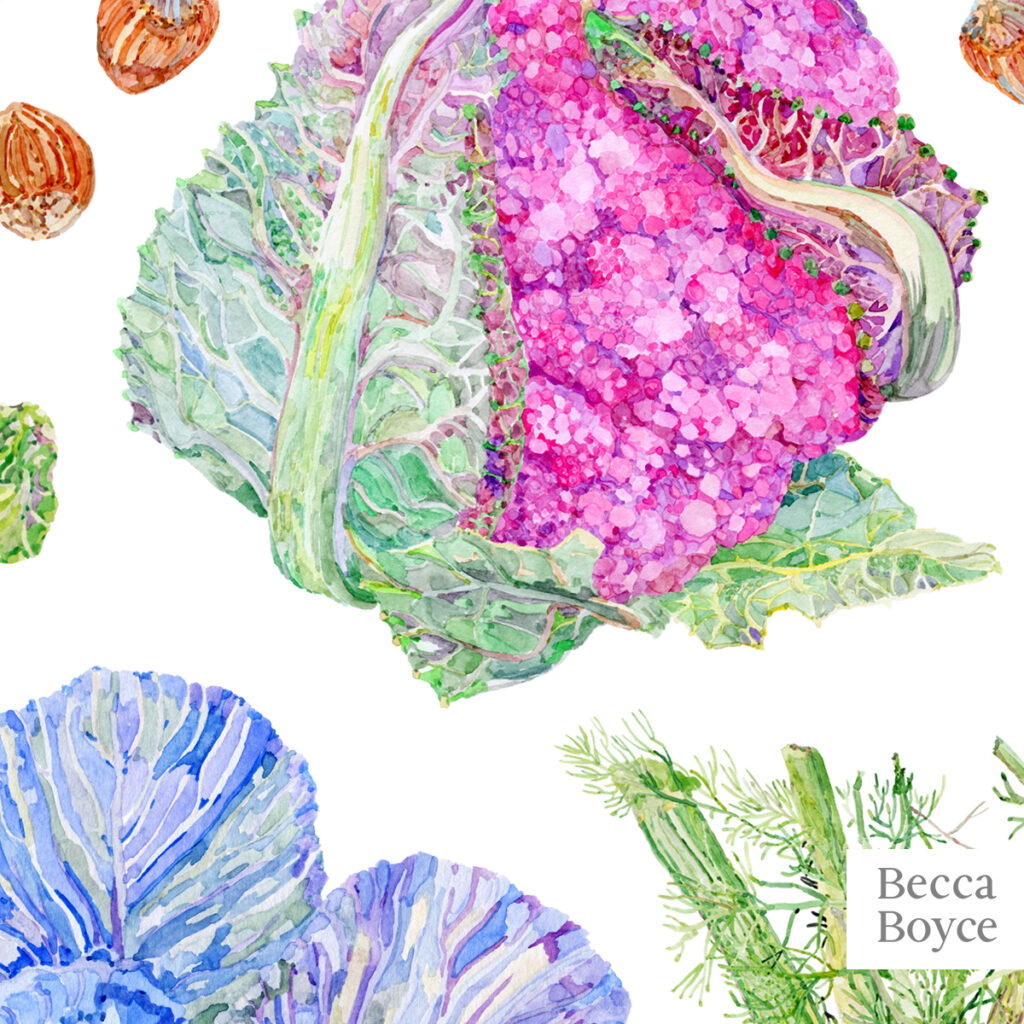 Winter harvest watercolour vegetable pattern purple cauliflower