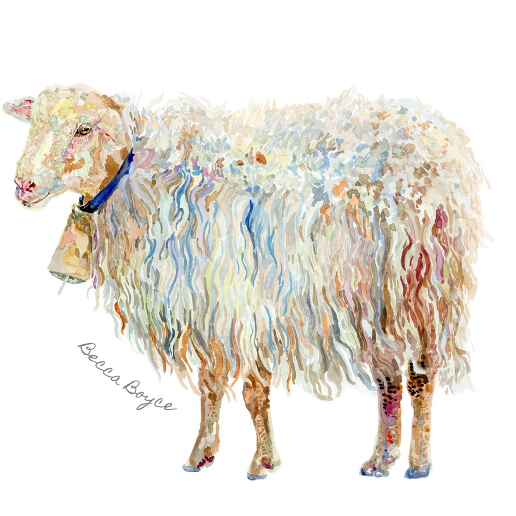 A watercolour illustration of an andorian wooly sheep by Becca Boyce