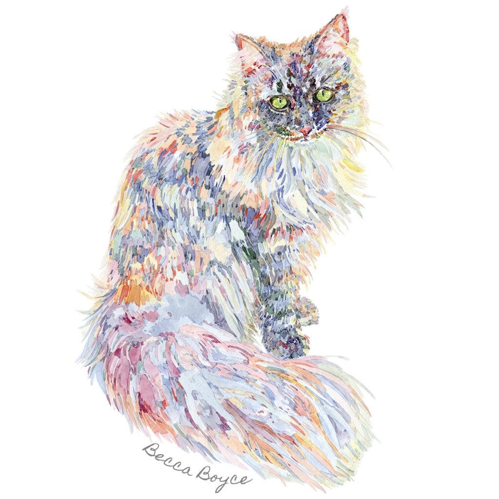 A watercolour illustration of a long haired siberian cat by Becca Boyce