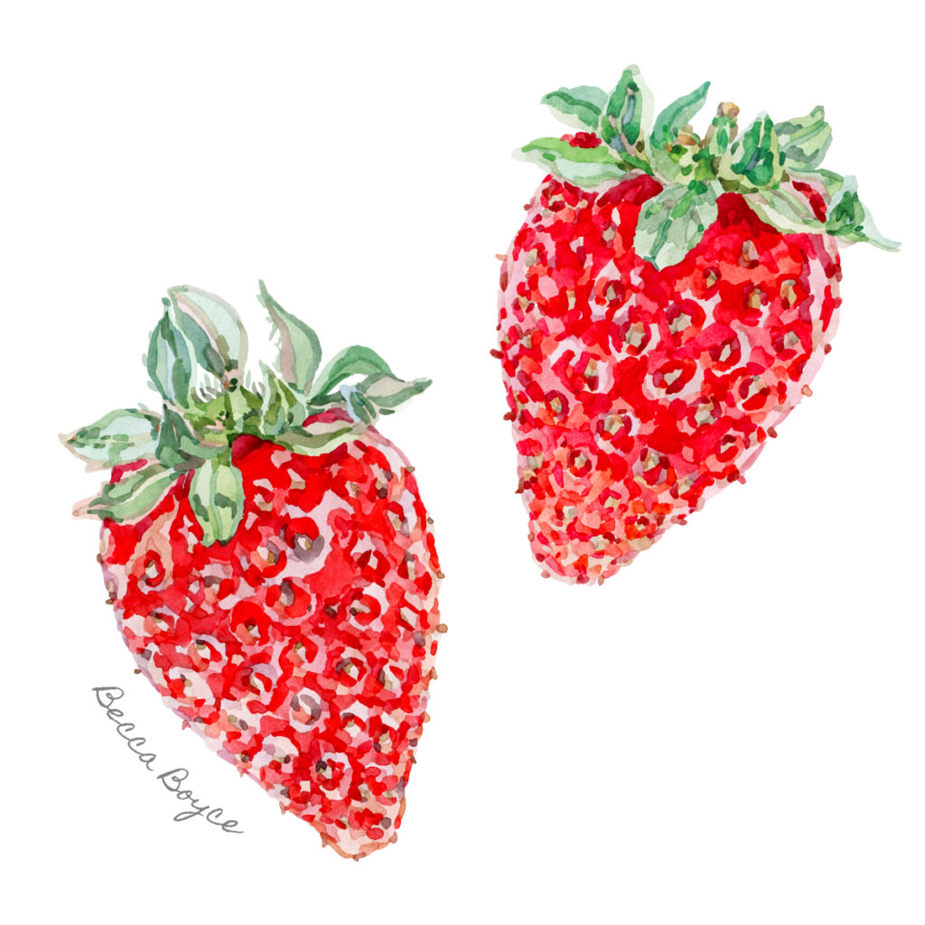 watercolour illustration of two red strawberries by artist Becca Boyce